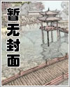 启禀将军,姑爷又留宿在二少爷房中了!